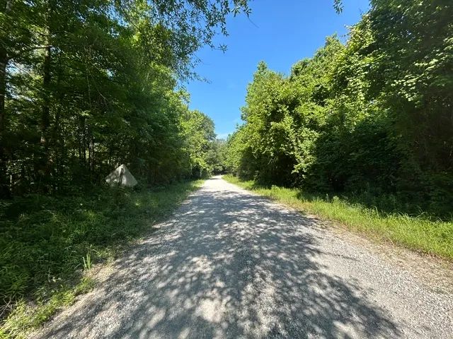 9.75 Acres| Wilkinson County, MS