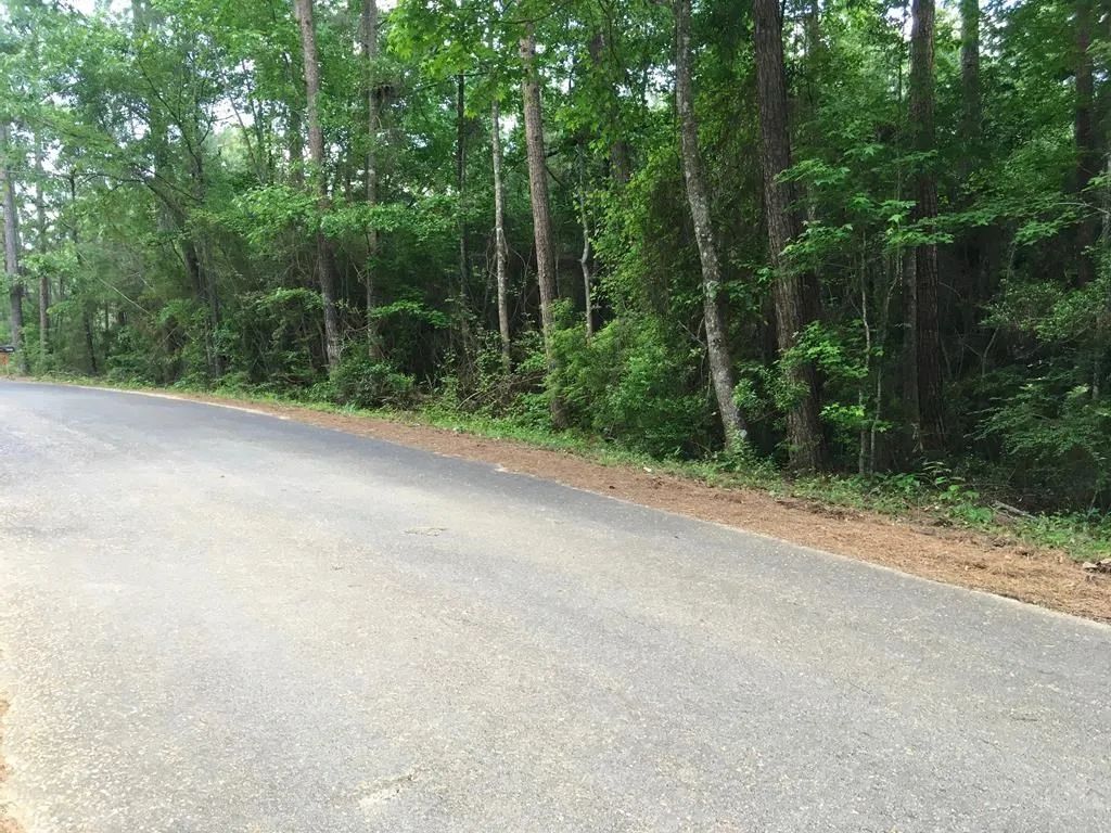 4.56 Acres-Fortenberry Circle, Summit, Ms 39666