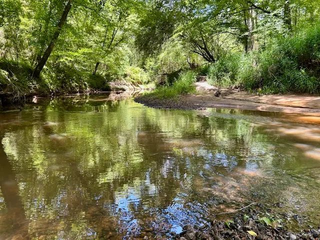 325 Acres--Rollinson Rd