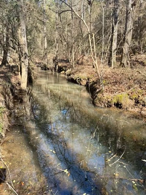 10 acres Walthall Co, 