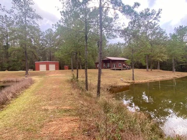 Twin Ponds:  Secluded Cabin on 39.45 acres