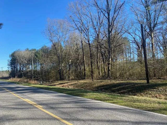 4 Tracts- Bogue Chitto School District