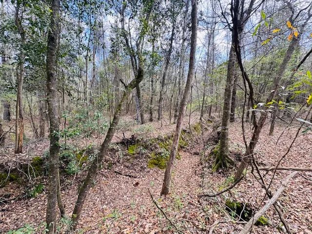 Beatiuful Hardwood tract w/  Creek Frontage on Johnson Station Rd in Summit/MS