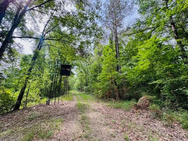134 New York Ave McComb, Ms 39648