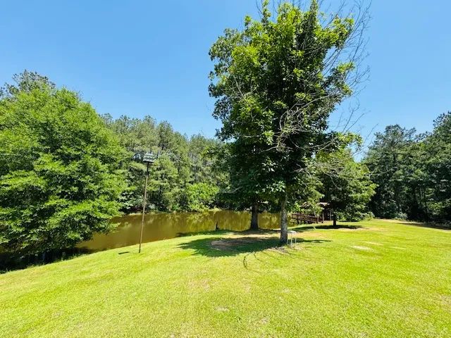 Rustic Beauty overlooking a pond & 13.3 acres/ Tylertown/ MS 