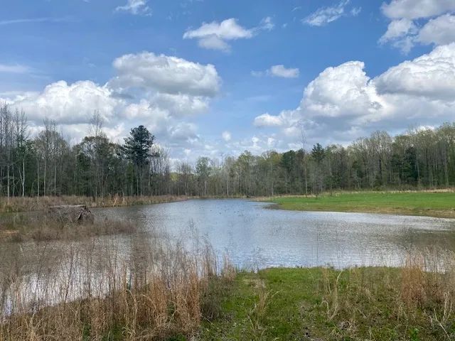 200 acres Montgomery Co. 