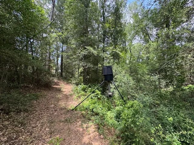 15 acres Williams Road Magnolia 