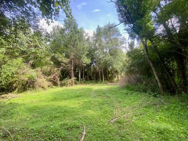 6 acres Williams Road Magnolia